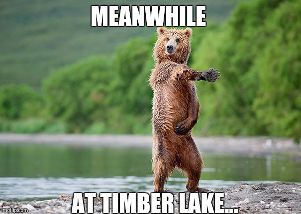 No cameras, please | MEANWHILE; AT TIMBER LAKE... | image tagged in bear,meme | made w/ Imgflip meme maker