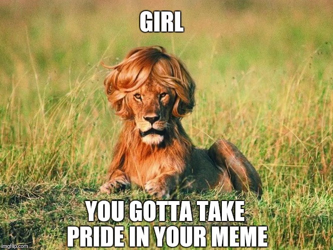 GIRL; YOU GOTTA TAKE PRIDE IN YOUR MEME | image tagged in meme,original meme,lion,funny meme | made w/ Imgflip meme maker