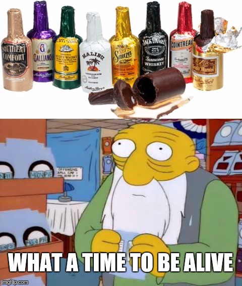 WHAT A TIME TO BE ALIVE | image tagged in alcohol,chocolate,the simpsons | made w/ Imgflip meme maker