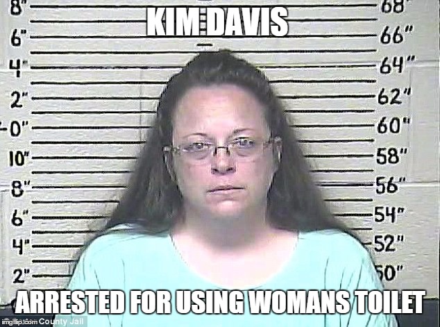 Kim Davis Toilet Issues | KIM DAVIS; ARRESTED FOR USING WOMANS TOILET | image tagged in toilet,kim davis,transgender bathroom | made w/ Imgflip meme maker