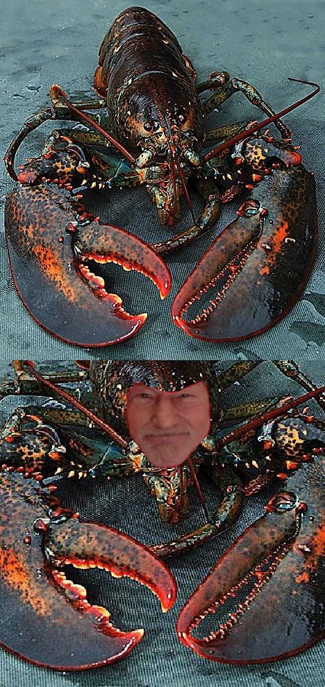 High Quality Lobster Madness Blank Meme Template