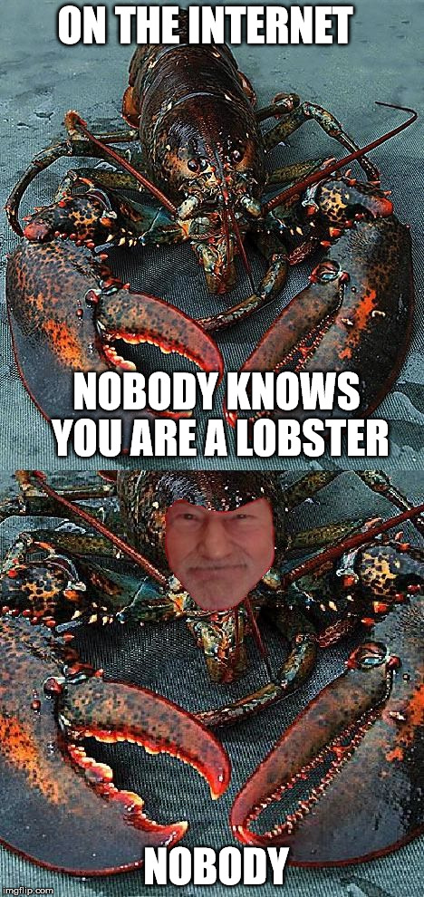 Internet Dating PSA | ON THE INTERNET; NOBODY KNOWS YOU ARE A LOBSTER; NOBODY | image tagged in lobster madness,drugs,psa,picard wtf,see what i did there | made w/ Imgflip meme maker