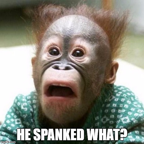 Shocked Monkey | HE SPANKED WHAT? | image tagged in shocked monkey | made w/ Imgflip meme maker