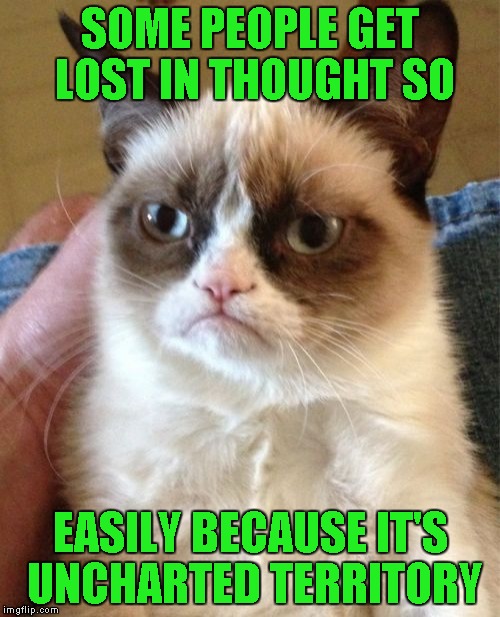 Grumpy Cat Meme | SOME PEOPLE GET LOST IN THOUGHT SO; EASILY BECAUSE IT'S UNCHARTED TERRITORY | image tagged in memes,grumpy cat | made w/ Imgflip meme maker