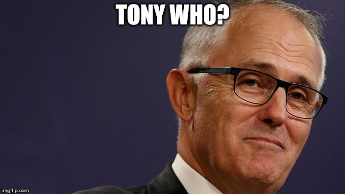 Malcolm Turnbull Smug | TONY WHO? | image tagged in malcolm turnbull smug | made w/ Imgflip meme maker