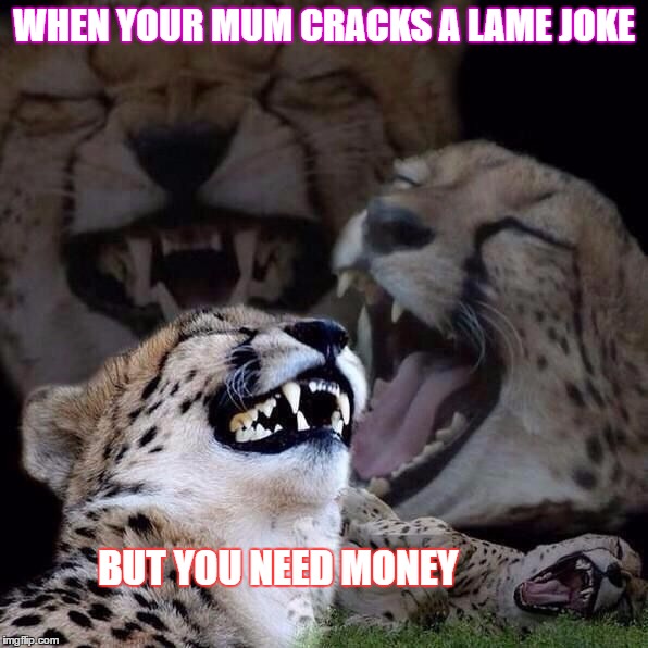 But you're really a cheetah | WHEN YOUR MUM CRACKS A LAME JOKE; BUT YOU NEED MONEY | image tagged in but you're really a cheetah | made w/ Imgflip meme maker