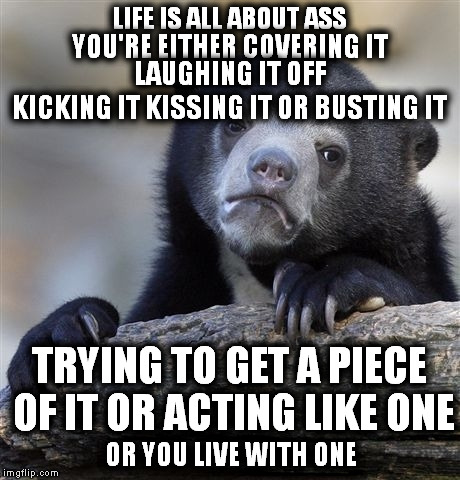 Confession Bear Meme | LIFE IS ALL ABOUT ASS; YOU'RE EITHER COVERING IT; LAUGHING IT OFF; KICKING IT KISSING IT OR BUSTING IT; TRYING TO GET A PIECE OF IT OR ACTING LIKE ONE; OR YOU LIVE WITH ONE | image tagged in memes,confession bear | made w/ Imgflip meme maker