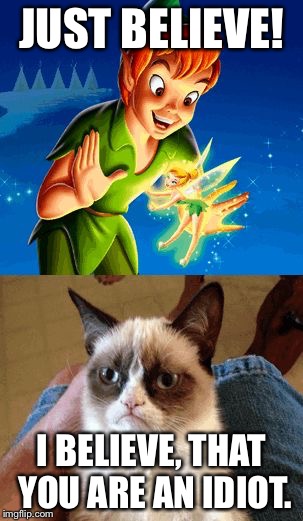 Grumpy Cat Does Not Believe | JUST BELIEVE! I BELIEVE, THAT YOU ARE AN IDIOT. | image tagged in memes,grumpy cat does not believe | made w/ Imgflip meme maker