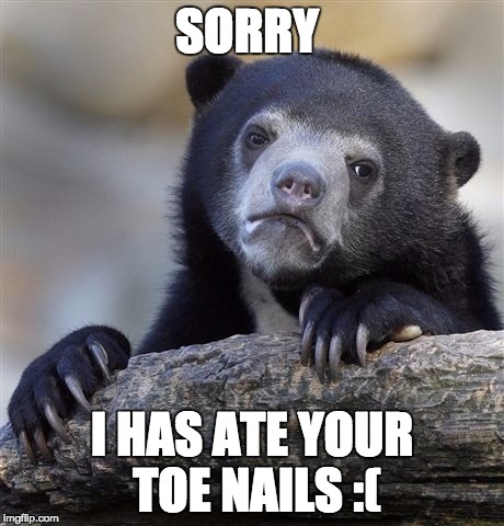 Confession Bear Meme | SORRY; I HAS ATE YOUR TOE NAILS :( | image tagged in memes,confession bear | made w/ Imgflip meme maker