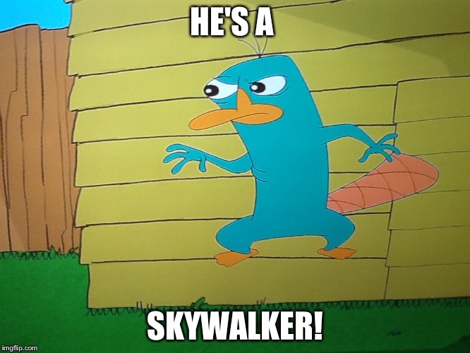 HE'S A; SKYWALKER! | image tagged in perry | made w/ Imgflip meme maker