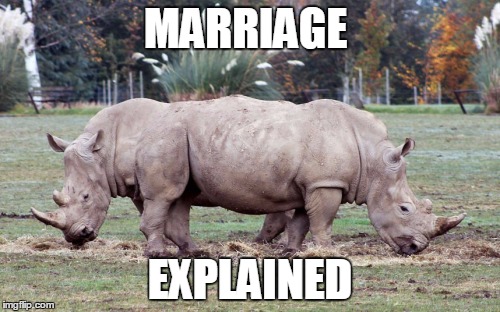 MARRIAGE; EXPLAINED | image tagged in marriage | made w/ Imgflip meme maker