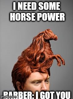 Horse Hair Relax | I NEED SOME HORSE POWER; BARBER: I GOT YOU | image tagged in horse hair relax | made w/ Imgflip meme maker