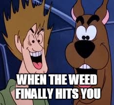 Scooby Doo | WHEN THE WEED FINALLY HITS YOU | image tagged in scooby doo,weed,drugs | made w/ Imgflip meme maker