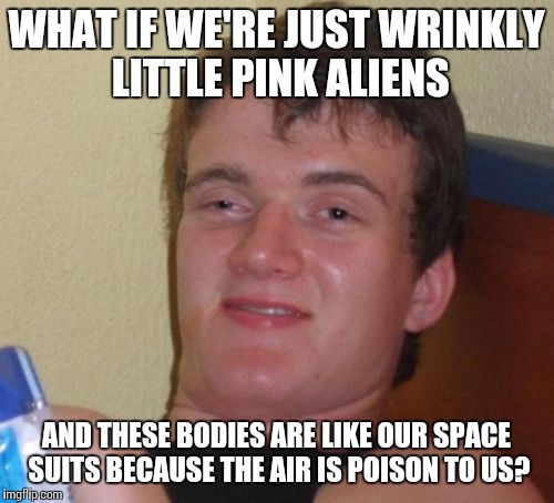 Dude, like, whoa | WHAT IF WE'RE JUST WRINKLY LITTLE PINK ALIENS; AND THESE BODIES ARE LIKE OUR SPACE SUITS BECAUSE THE AIR IS POISON TO US? | image tagged in memes,10 guy | made w/ Imgflip meme maker
