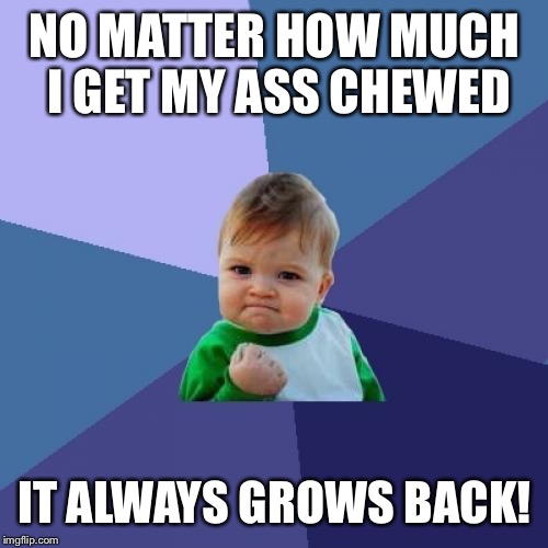 Always good news! | NO MATTER HOW MUCH I GET MY ASS CHEWED; IT ALWAYS GROWS BACK! | image tagged in memes,success kid | made w/ Imgflip meme maker