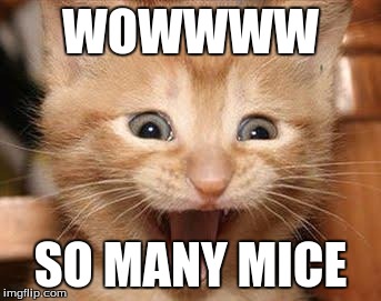 Excited Cat Meme | WOWWWW; SO MANY MICE | image tagged in memes,excited cat | made w/ Imgflip meme maker