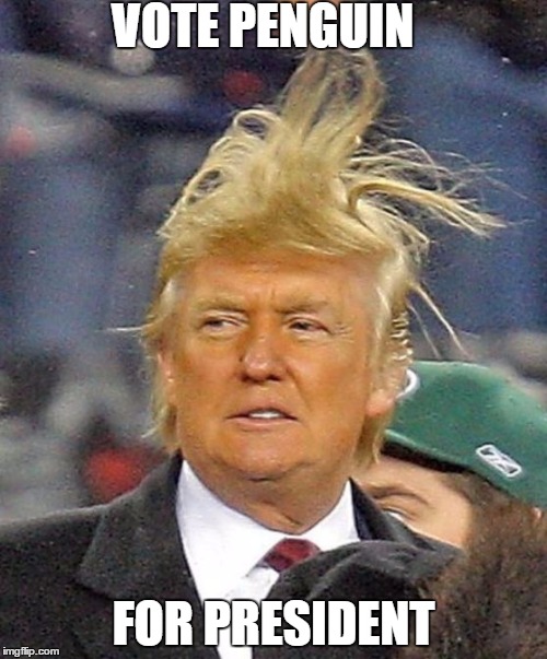 Donald Trumph hair | VOTE PENGUIN; FOR PRESIDENT | image tagged in donald trumph hair | made w/ Imgflip meme maker