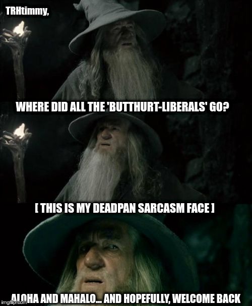 TRHtimmy, you will be missed... | TRHtimmy, WHERE DID ALL THE 'BUTTHURT-LIBERALS' GO? [ THIS IS MY DEADPAN SARCASM FACE ]; ALOHA AND MAHALO... AND HOPEFULLY, WELCOME BACK | image tagged in memes,confused gandalf,trhtimmy,butthurt,equi-bean-ium | made w/ Imgflip meme maker