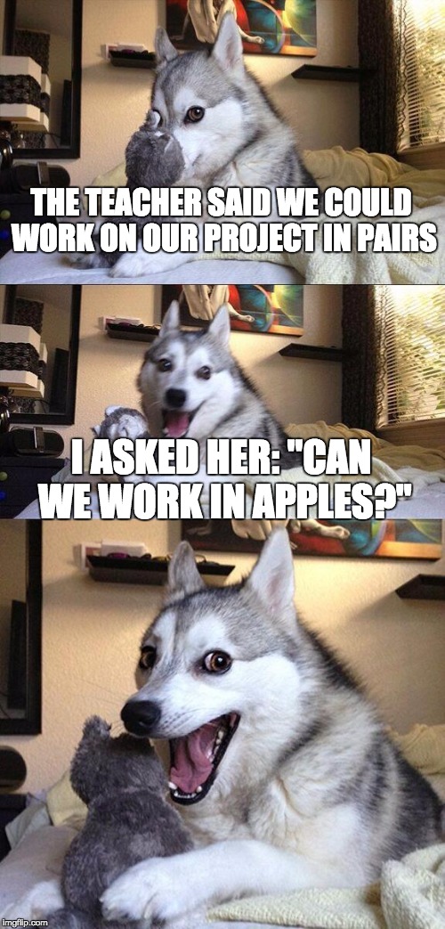 Bad Pun Dog | THE TEACHER SAID WE COULD WORK ON OUR PROJECT IN PAIRS; I ASKED HER: "CAN WE WORK IN APPLES?" | image tagged in memes,bad pun dog | made w/ Imgflip meme maker