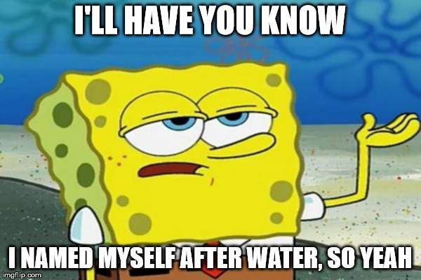 I'LL HAVE YOU KNOW I NAMED MYSELF AFTER WATER, SO YEAH | made w/ Imgflip meme maker