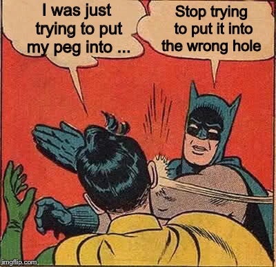 Batman Slapping Robin Meme | I was just trying to put my peg into ... Stop trying to put it into the wrong hole | image tagged in memes,batman slapping robin | made w/ Imgflip meme maker