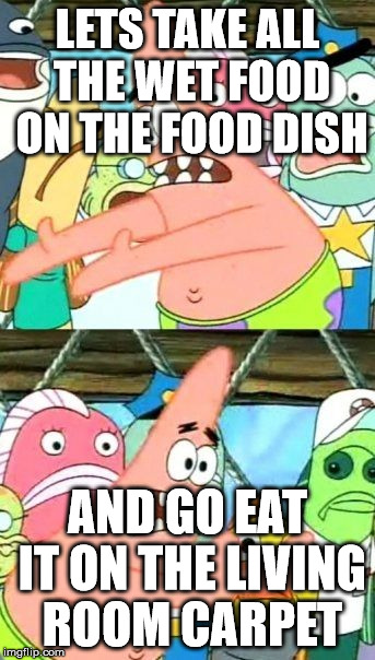 Put It Somewhere Else Patrick | LETS TAKE ALL THE WET FOOD ON THE FOOD DISH; AND GO EAT IT ON THE LIVING ROOM CARPET | image tagged in memes,put it somewhere else patrick | made w/ Imgflip meme maker