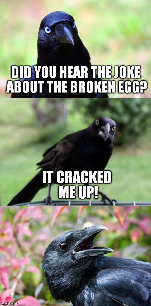 bad pun crow | DID YOU HEAR THE JOKE ABOUT THE BROKEN EGG? IT CRACKED ME UP! | image tagged in bad pun crow,egg,funny meme,broken,laugh,joke | made w/ Imgflip meme maker