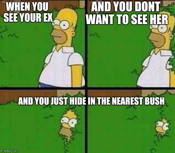 Homer Simpson Nope | AND YOU DONT WANT TO SEE HER; WHEN YOU SEE YOUR EX; AND YOU JUST HIDE IN THE NEAREST BUSH | image tagged in homer simpson nope | made w/ Imgflip meme maker