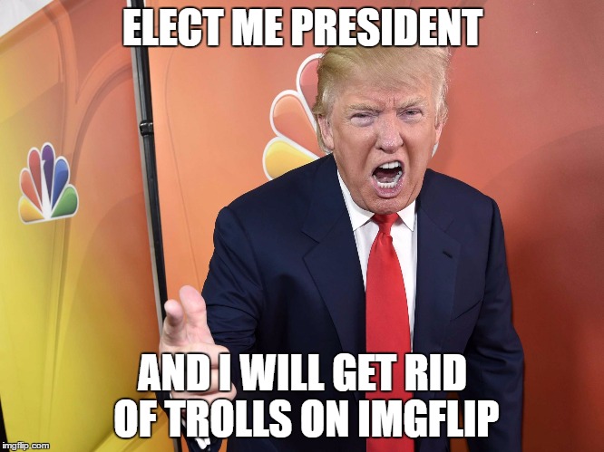 Getting rid of trolls AND Isis?! yeah. i'd rather vote for ulfric stormcloak | ELECT ME PRESIDENT; AND I WILL GET RID OF TROLLS ON IMGFLIP | image tagged in trump yelling,memes,other | made w/ Imgflip meme maker