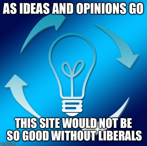 LIGHTBULB WITH ARROWS | AS IDEAS AND OPINIONS GO THIS SITE WOULD NOT BE SO GOOD WITHOUT LIBERALS | image tagged in lightbulb with arrows | made w/ Imgflip meme maker