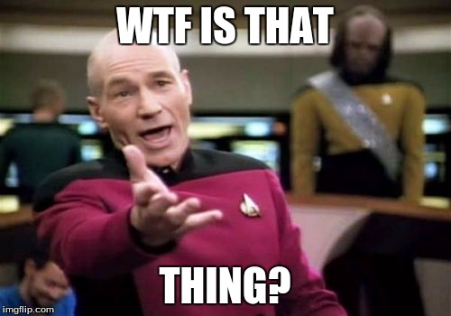 Picard Wtf Meme | WTF IS THAT THING? | image tagged in memes,picard wtf | made w/ Imgflip meme maker