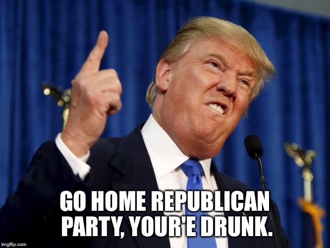 GO HOME REPUBLICAN PARTY, YOUR'E DRUNK. | image tagged in drunk rebuplican puns | made w/ Imgflip meme maker