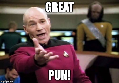 Picard Wtf Meme | GREAT PUN! | image tagged in memes,picard wtf | made w/ Imgflip meme maker