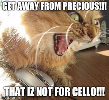 Reacting to cellists playing the 'Handel-Halvorsen Passacaglia for Violin & Viola' | GET AWAY FROM PRECIOUS!!! THAT IZ NOT FOR CELLO!!! | image tagged in angry cat,memes,cello,viola,violin,music | made w/ Imgflip meme maker