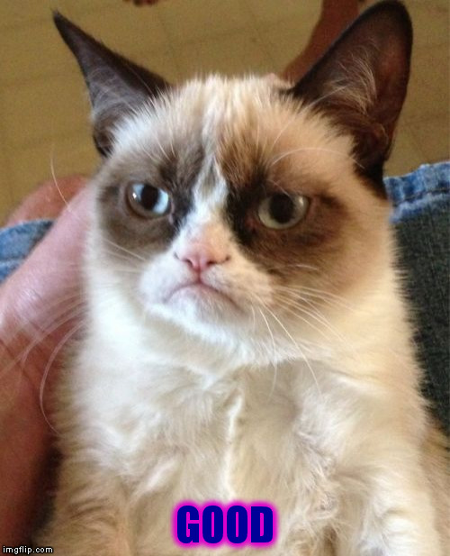 Grumpy Cat Meme | GOOD | image tagged in memes,grumpy cat | made w/ Imgflip meme maker