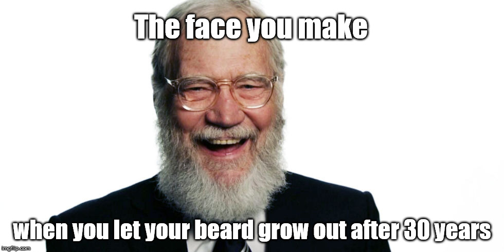 Happy Dave | The face you make; when you let your beard grow out after 30 years | image tagged in beards,david letterman,beard | made w/ Imgflip meme maker