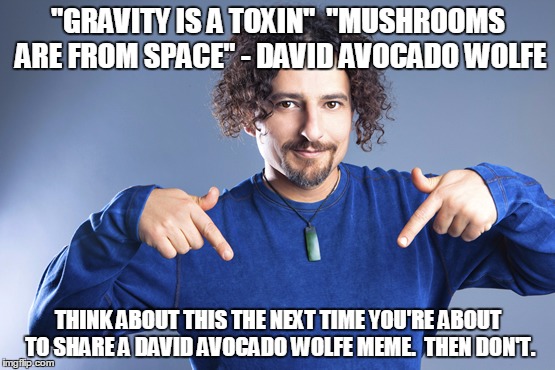 Crazy David Avocado Wolfe | "GRAVITY IS A TOXIN"  "MUSHROOMS ARE FROM SPACE" - DAVID AVOCADO WOLFE; THINK ABOUT THIS THE NEXT TIME YOU'RE ABOUT TO SHARE A DAVID AVOCADO WOLFE MEME.  THEN DON'T. | image tagged in david avocado wolfe,crazy,david wolfe,nuts | made w/ Imgflip meme maker