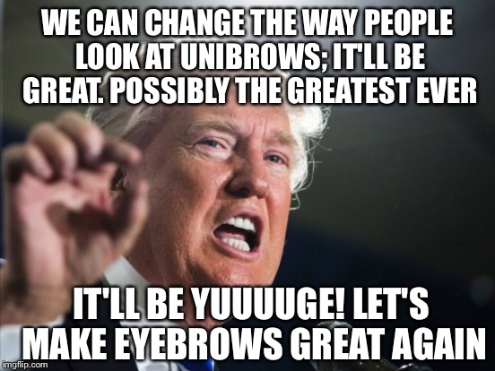 WE CAN CHANGE THE WAY PEOPLE LOOK AT UNIBROWS; IT'LL BE GREAT. POSSIBLY THE GREATEST EVER IT'LL BE YUUUUGE! LET'S MAKE EYEBROWS GREAT AGAIN | made w/ Imgflip meme maker