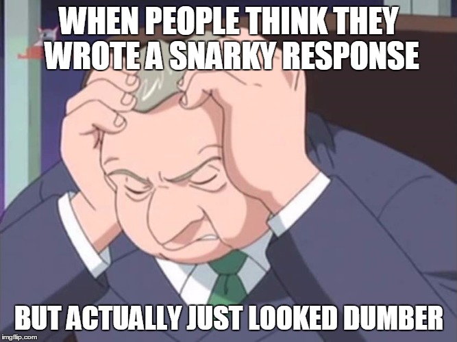 Facepalm | WHEN PEOPLE THINK THEY WROTE A SNARKY RESPONSE; BUT ACTUALLY JUST LOOKED DUMBER | image tagged in presidential facepalm - sonic x,facepalm,emotions,frustration,laugh,snarky | made w/ Imgflip meme maker