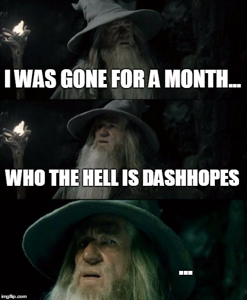 Confused Gandalf | I WAS GONE FOR A MONTH... WHO THE HELL IS DASHHOPES; ... | image tagged in memes,confused gandalf | made w/ Imgflip meme maker