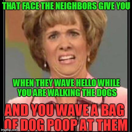Waving Hello |  THAT FACE THE NEIGHBORS GIVE YOU; WHEN THEY WAVE HELLO WHILE YOU ARE WALKING THE DOGS; AND YOU WAVE A BAG OF DOG POOP AT THEM | image tagged in that face,dogs,poop | made w/ Imgflip meme maker