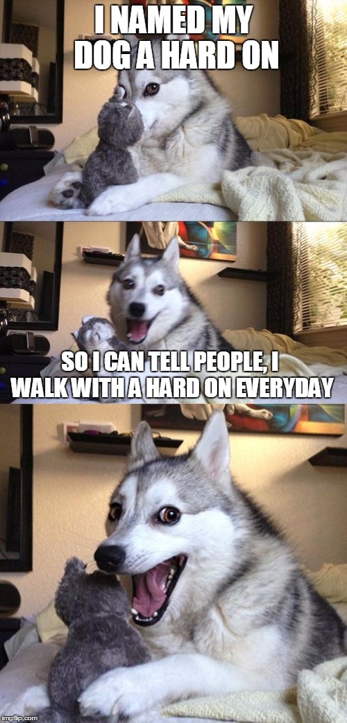 ...Like Putting With  A Weggie | I NAMED MY DOG A HARD ON; SO I CAN TELL PEOPLE, I WALK WITH A HARD ON EVERYDAY | image tagged in bad joke dog,oops,funny,meme,jedarojr | made w/ Imgflip meme maker