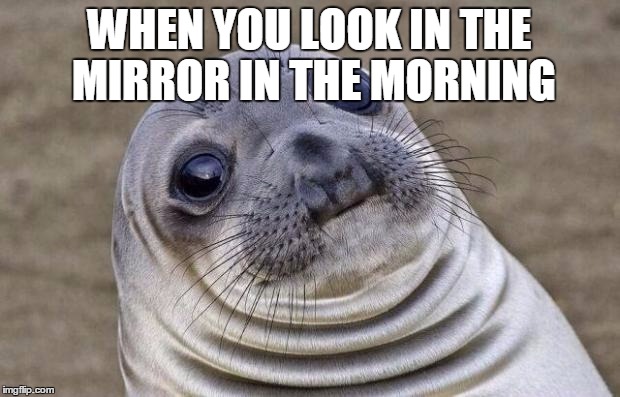 mirror | WHEN YOU LOOK IN THE MIRROR IN THE MORNING | image tagged in memes,awkward moment sealion,mirror | made w/ Imgflip meme maker