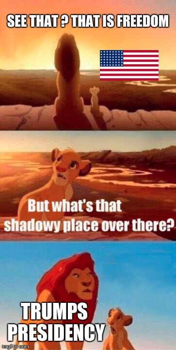 Simba Shadowy Place | SEE THAT ? THAT IS FREEDOM; TRUMPS PRESIDENCY | image tagged in memes,simba shadowy place | made w/ Imgflip meme maker