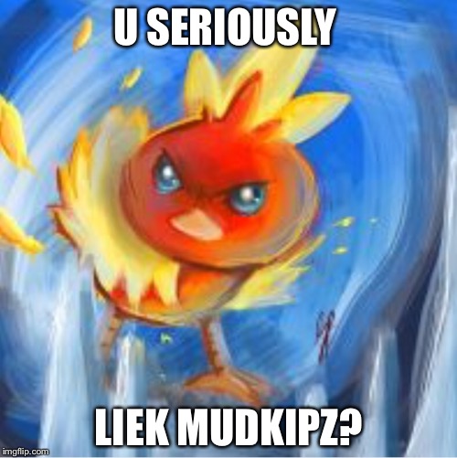 Angry Torchic | U SERIOUSLY; LIEK MUDKIPZ? | image tagged in angry torchic | made w/ Imgflip meme maker