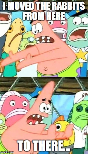 Put It Somewhere Else Patrick | I MOVED THE RABBITS FROM HERE; TO THERE... | image tagged in memes,put it somewhere else patrick | made w/ Imgflip meme maker