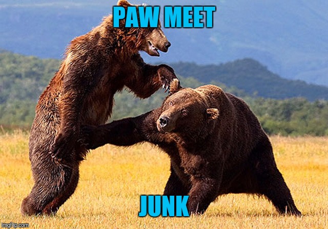 PAW MEET JUNK | made w/ Imgflip meme maker