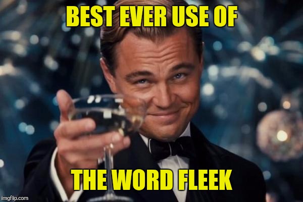 Leonardo Dicaprio Cheers Meme | BEST EVER USE OF THE WORD FLEEK | image tagged in memes,leonardo dicaprio cheers | made w/ Imgflip meme maker