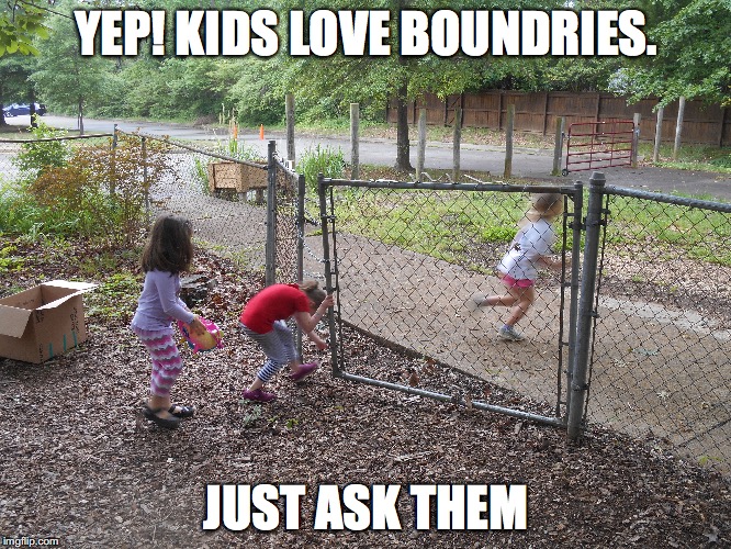 YEP! KIDS LOVE BOUNDRIES. JUST ASK THEM | image tagged in ece,eceproper,play,playwork | made w/ Imgflip meme maker
