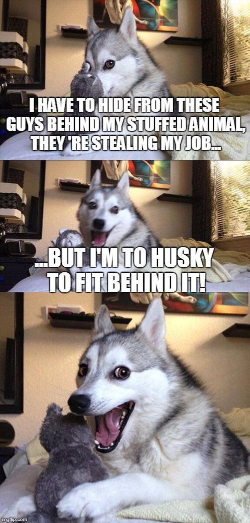 Bad Pun Dog Meme | I HAVE TO HIDE FROM THESE GUYS BEHIND MY STUFFED ANIMAL, THEY 'RE STEALING MY JOB... ...BUT I'M TO HUSKY TO FIT BEHIND IT! | image tagged in memes,bad pun dog | made w/ Imgflip meme maker